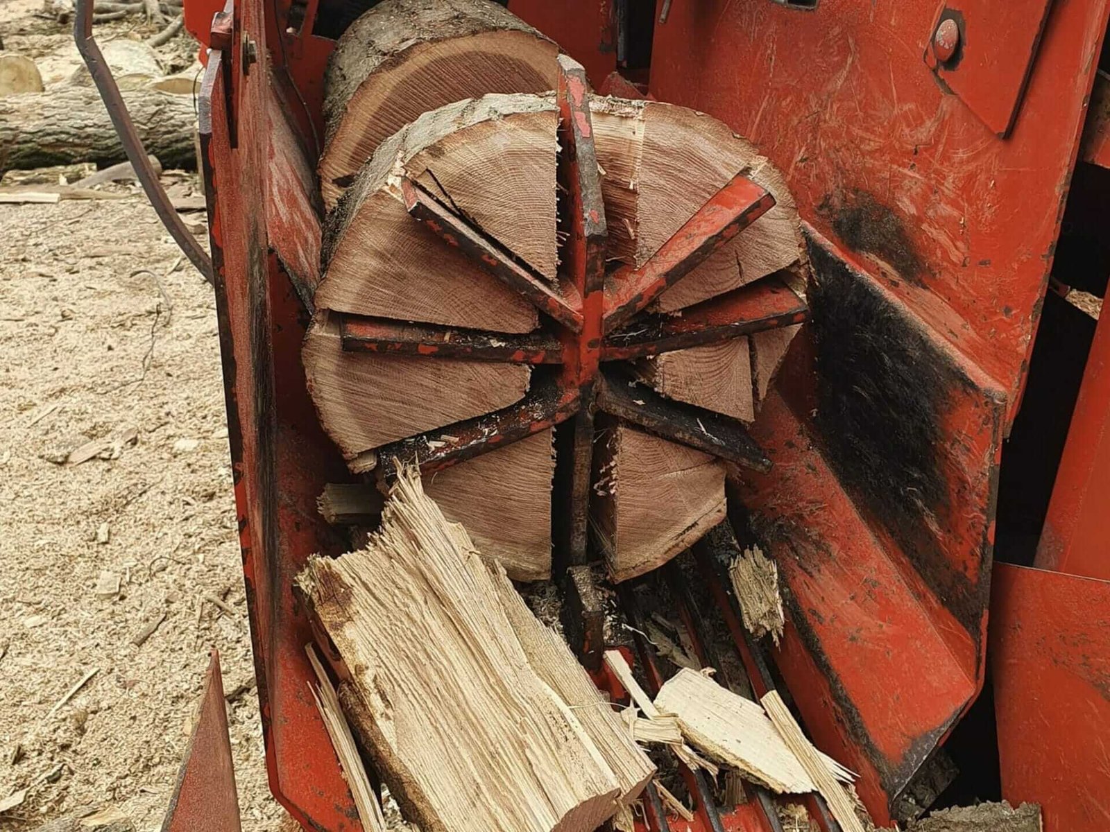 Logs for sale Bristol